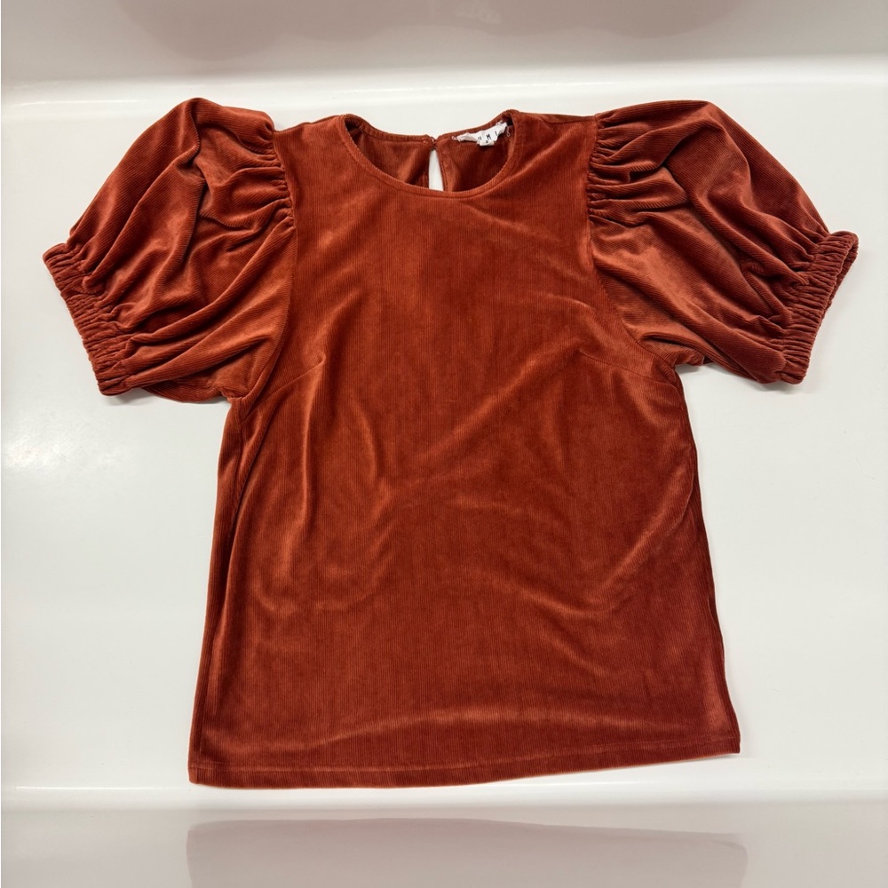 THML Rust Puff Sleeve Velvet Top – Size S - Picture 2 of 6